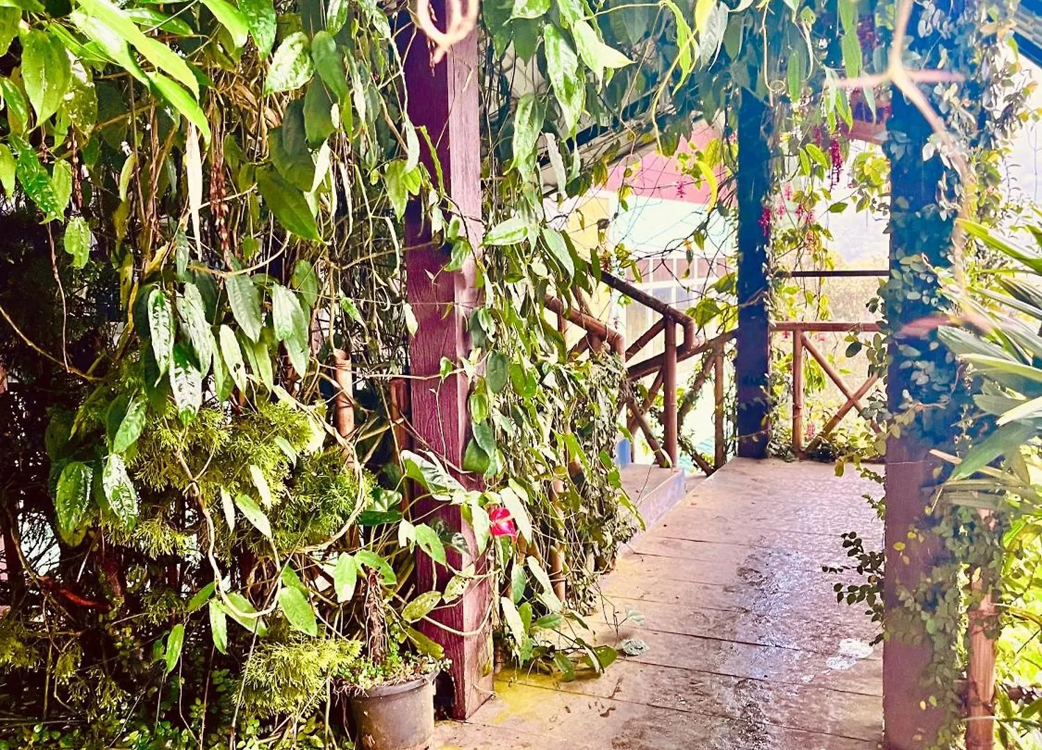 Nature Valley Farmhouse Resort By Raarees, Munnar #Lap Of Nature #Premium Rooms #Big Parking #Scenic View #Garden With Fireplace #Property Of The Year Отель